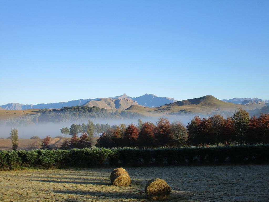 Pennygum Country Cottages 安德伯格 外观 照片